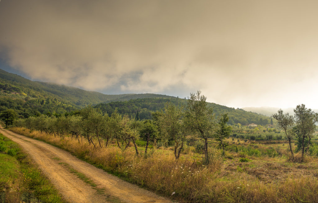 _I8Q9991-Edit_tonemapped-Edit-Edit