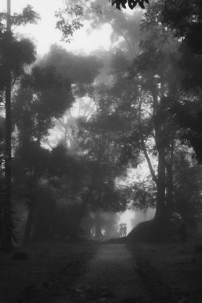 _MG_2186-Edit-2-Edit